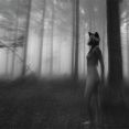 WOMAN AND WOLF