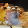 Φωτογραφία από την παράσταση του Theatro Ballet Espagnol «Carmen» Flamenco στο πλαίσιο των ΛΖ΄Δημητρίων | © Νώντας Στυλιανίδης [Αρχείο Διεύθυνσης Πολιτισμού Δήμου Θεσσαλονίκης]