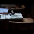 Athens Video Dance Project (AVDP)