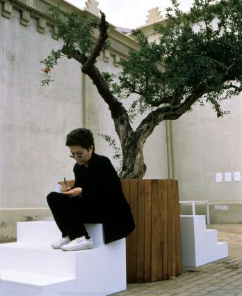 Imagine all the people! Wish tree